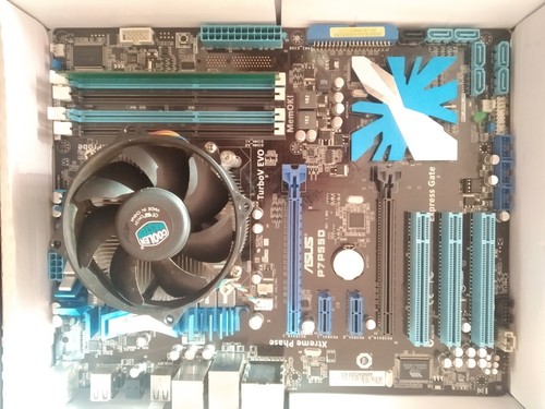Scheda madre asus p7p55d - asus, +